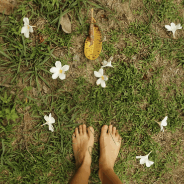 The 7-Day Ketovore Protocol to Rewire Your Brain from Alcohol Addiction