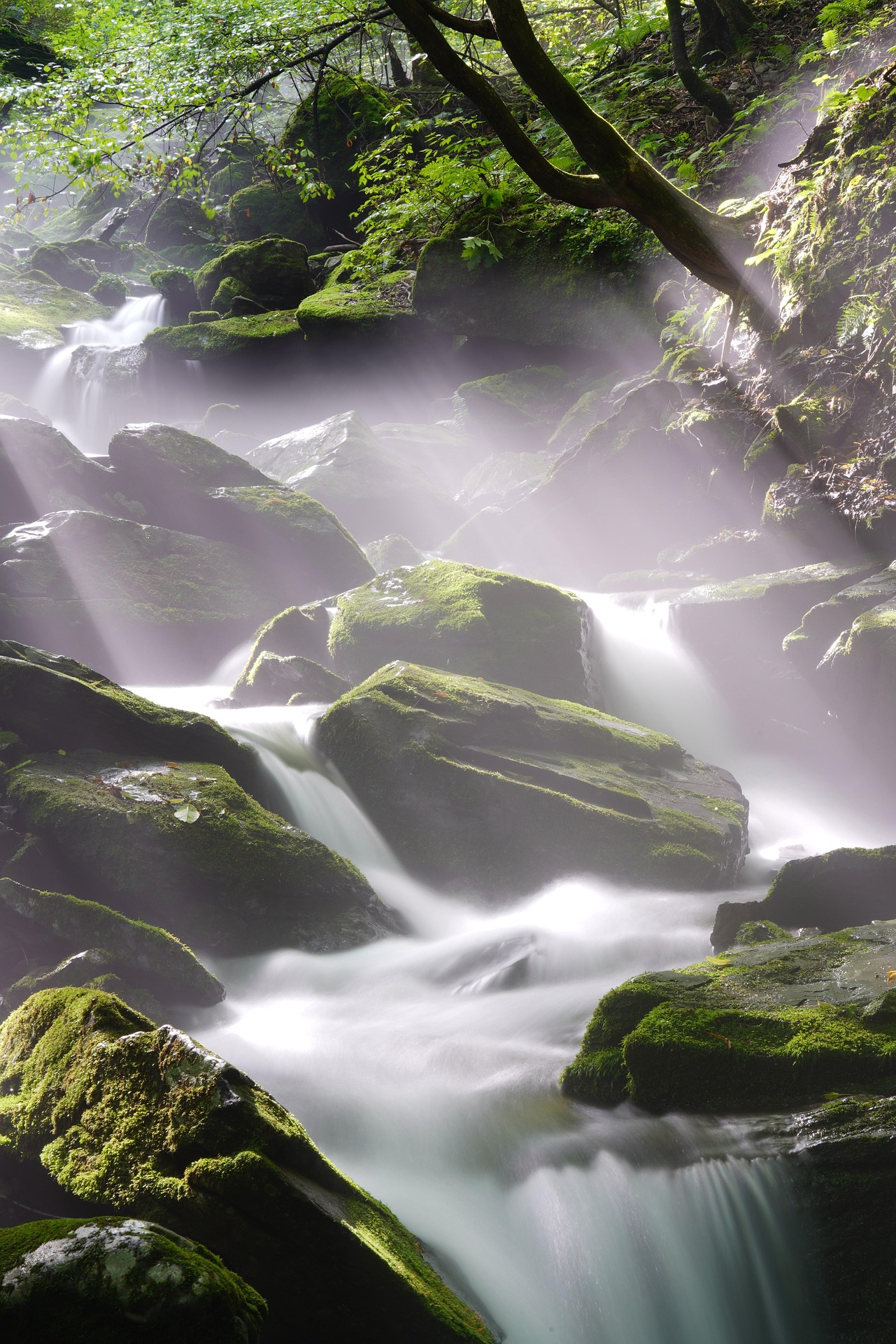 waterfall-4397970_1920